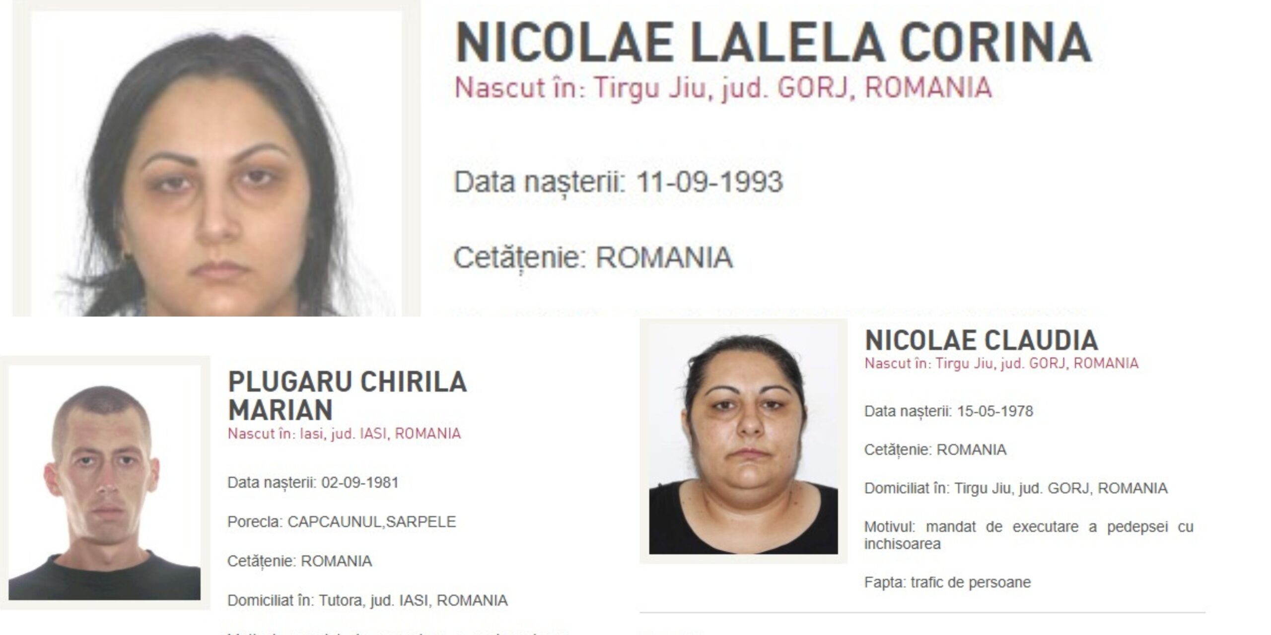 Poliția Română aduce în țară șapte infractori periculoși, printre care traficanți și „most wanted”