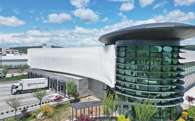 Carmistin, liderul cărnii de pasăre deţinut de familia Paraschiv, a luat un credit sindicalizat de 500 mil. euro. Este cea mai mare finanţare privată pentru o companie de acest tip