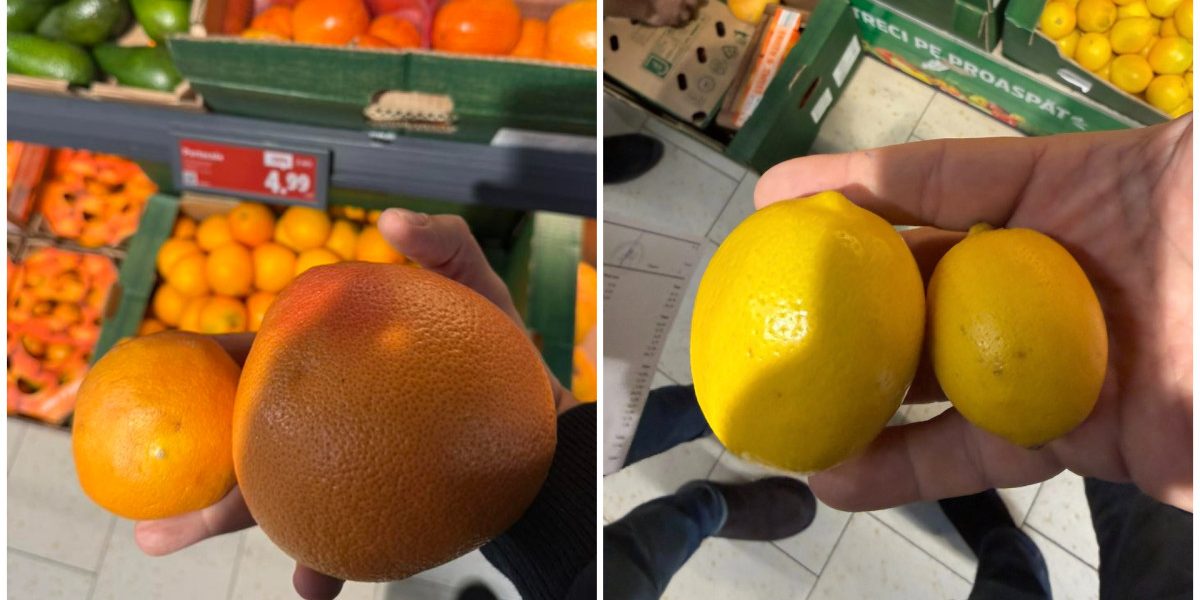 Avertisment de la directorul ANPC: În România sunt vândute portocale și lămâi care ar trebui date la porci 