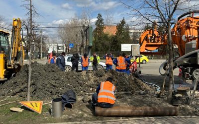 Cum vrea statul român să îngrădească accesul pe piața muncii pentru muncitorii străini din țări care nu sunt în Uniunea Europeană
