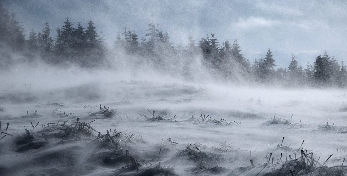 Viscol puternic în Munții Apuseni: peste 120 km/h și vizibilitate redusă drastic Zăpada și vântul îngreunează din nou viața locuitorilor și turiștilor din zona de munte a Județului Alba, după ce meteorologii au anunțat o avertizare de cod roșu pentru viscol