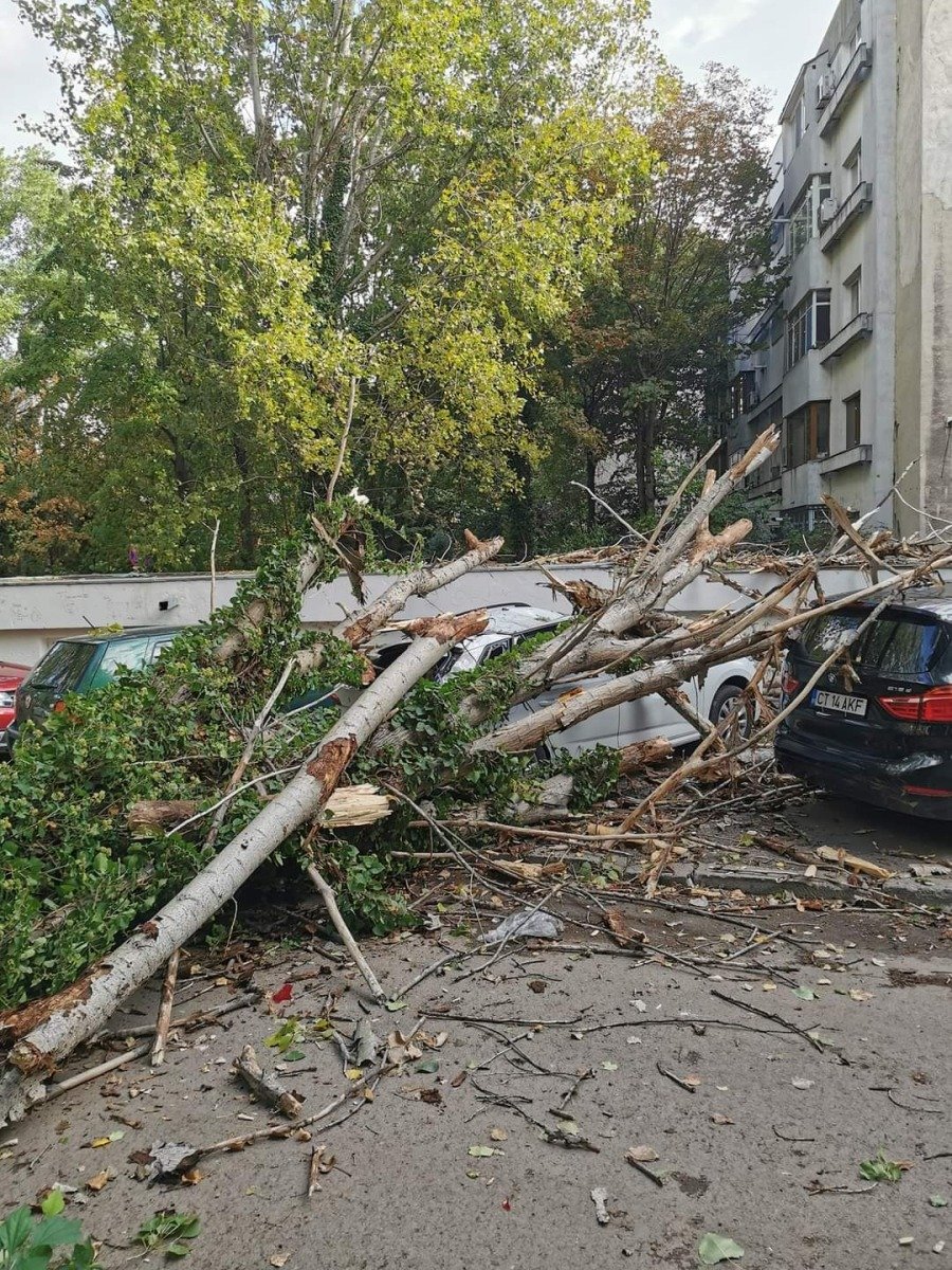 Alertă meteo: vânt extrem cu cod roșu în Suceava și ceață densă cu cod galben în patru județe din Moldova