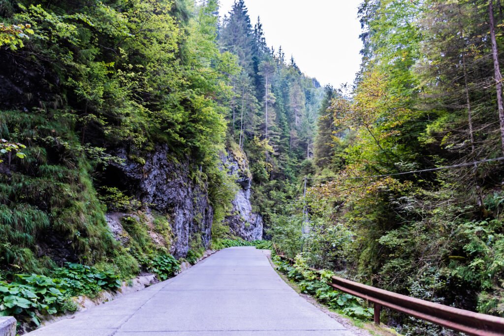 Camion prăbușit pe Valea Arpașu Mare, 2 morți în accident