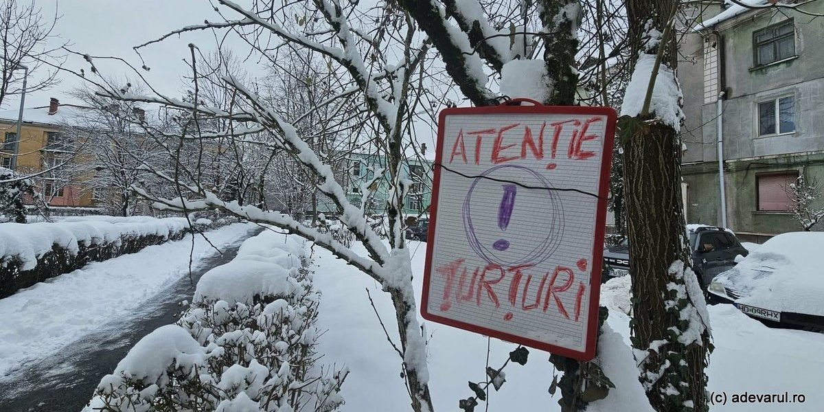 1768486452_index.jpeg - PresaObiectiva