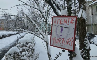 1768486452_index.jpeg - PresaObiectiva