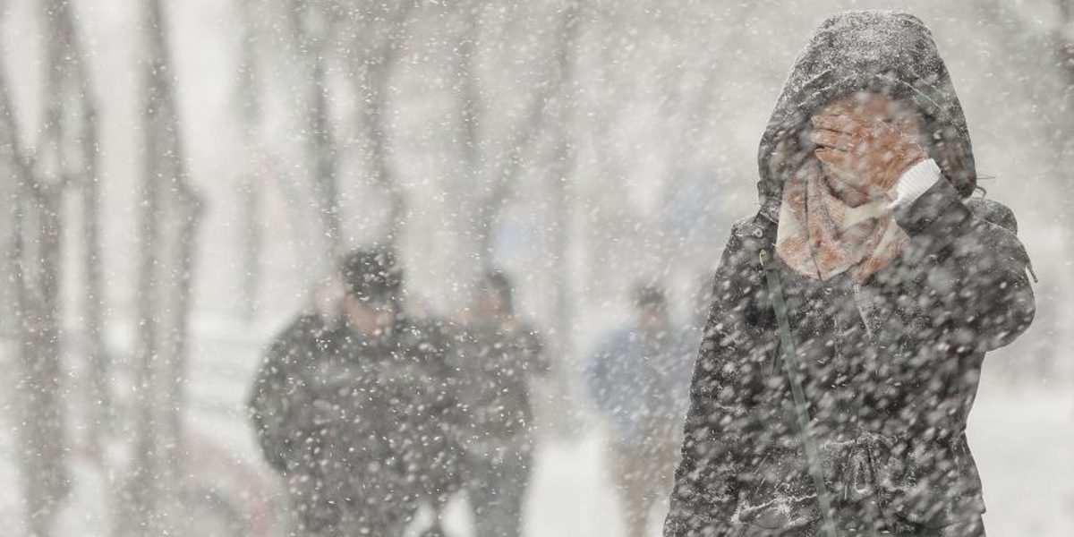 1769494075_index.jpeg - PresaObiectiva