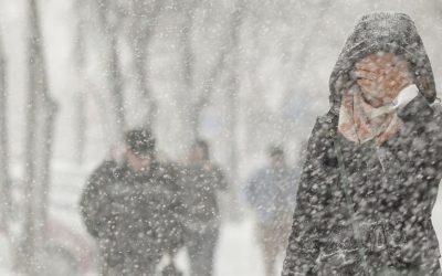 1769494075_index.jpeg - PresaObiectiva