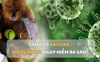 1769500972493_virus-1769477844.webp.webp - PresaObiectiva