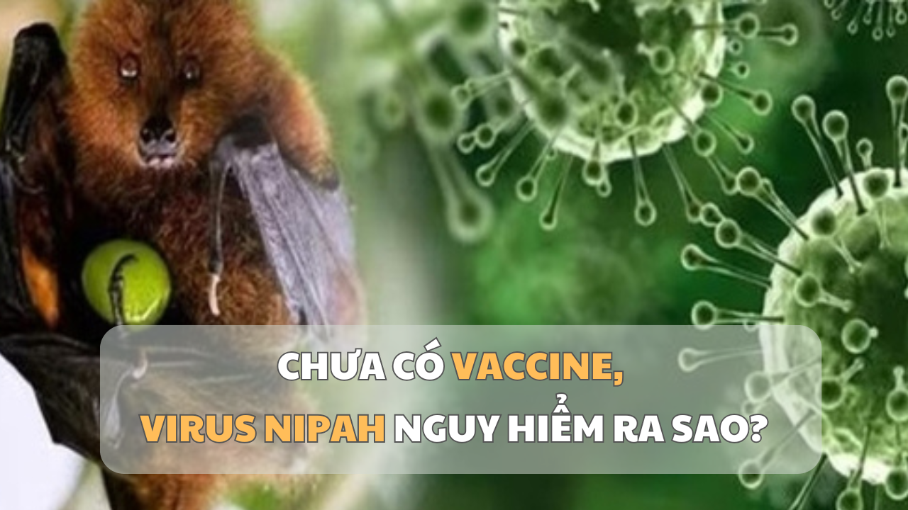 Virusul Nipah: Care sunt riscurile actuale fără vaccin?