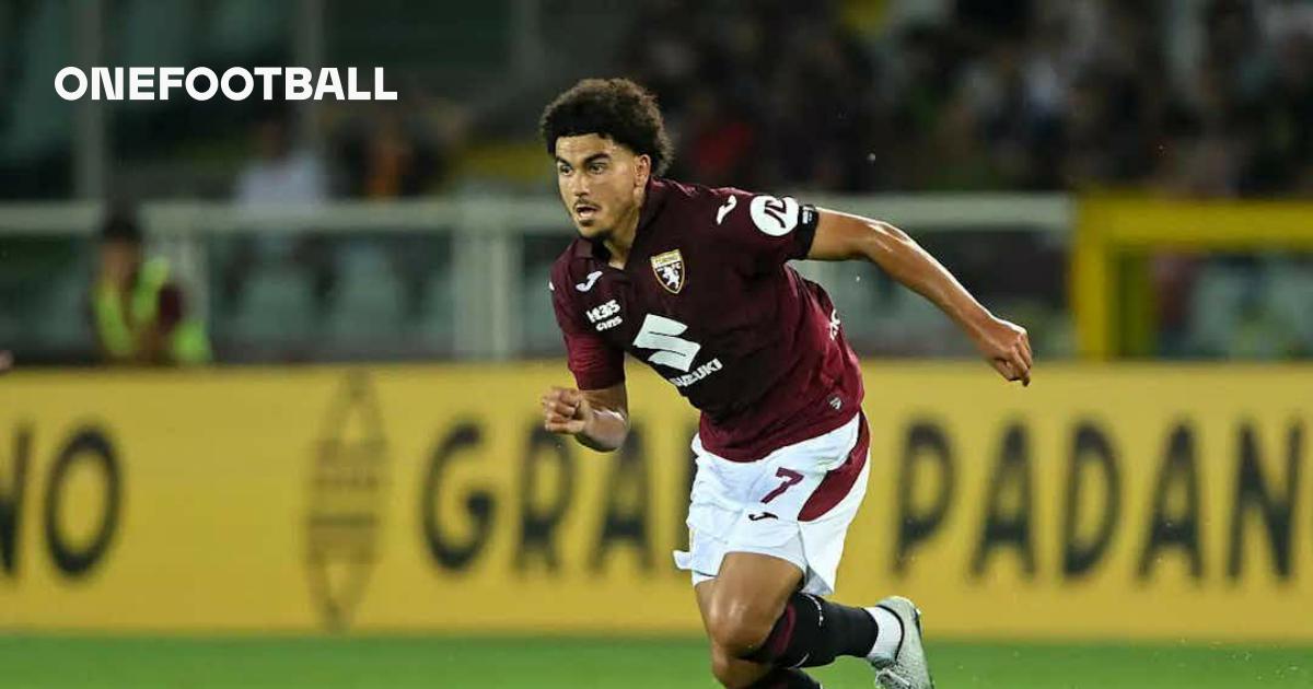 Torino, în criză de efectiv înainte de duelul cu Hellas Verona Înainte cu doar câteva ore de debutul în noul an, echipa torineză își află soldații pe terenul de luptă din Verona într-o situație de adevărată urgență