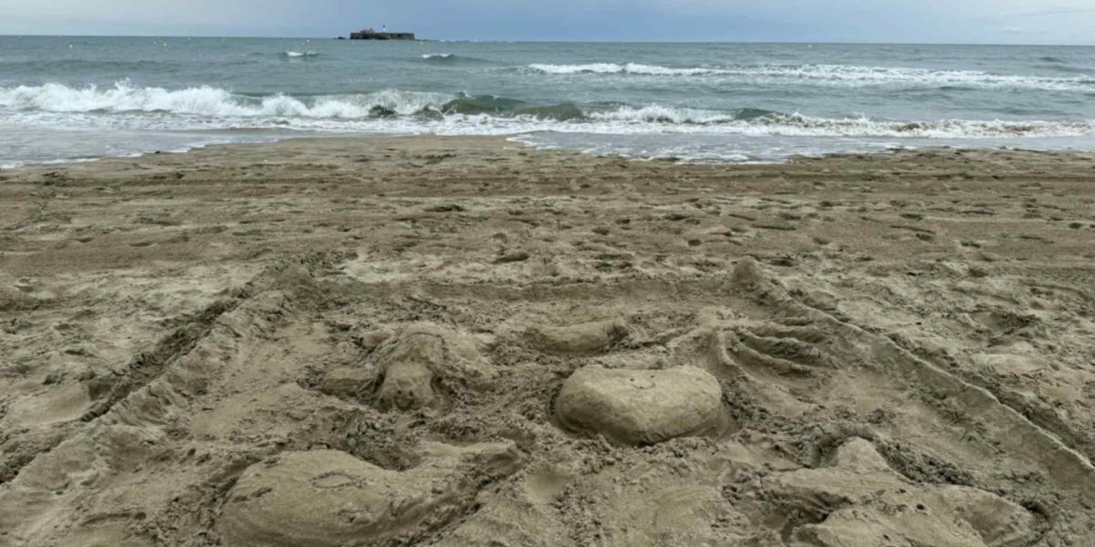 3f7a39ab-eca7-4a86-9451-7a2ae1eaf3ba-1.jpeg - PresaObiectiva