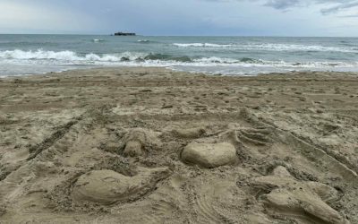 3f7a39ab-eca7-4a86-9451-7a2ae1eaf3ba-1.jpeg - PresaObiectiva