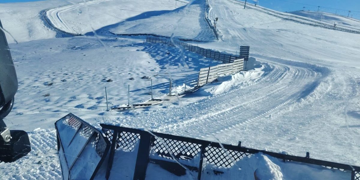 606310258_1278359477655740_6248154203446451249_n-e1768032281187.jpg - PresaObiectiva