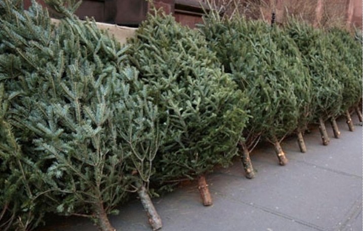 608446126_122117816589044644_1494675727540220650_n.jpg - PresaObiectiva