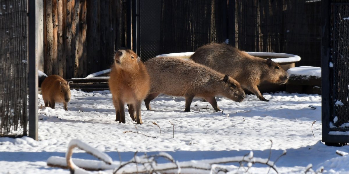 614370520_1220176896956679_1214751046734950909_n.jpg - PresaObiectiva