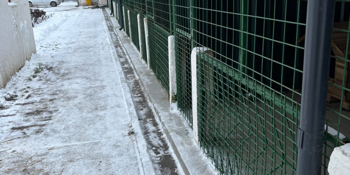 615938250_1228115772806891_777441481817605917_n.jpg - PresaObiectiva