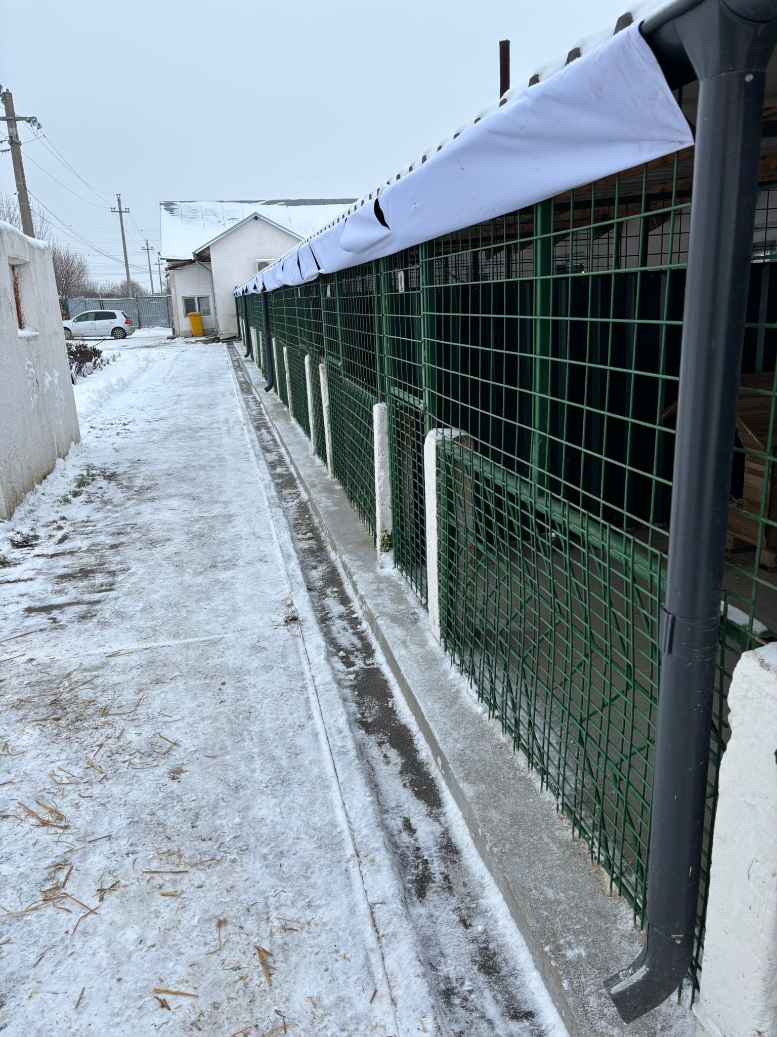 Autoritatea pentru Supravegherea și Protecția Animalelor (ASPA) traversează o perioadă dificilă din cauza temperaturilor extrem de scăzute, care pun la grea încercare eforturile de a asigura condiții adecvate pentru animalele aflate în grijă