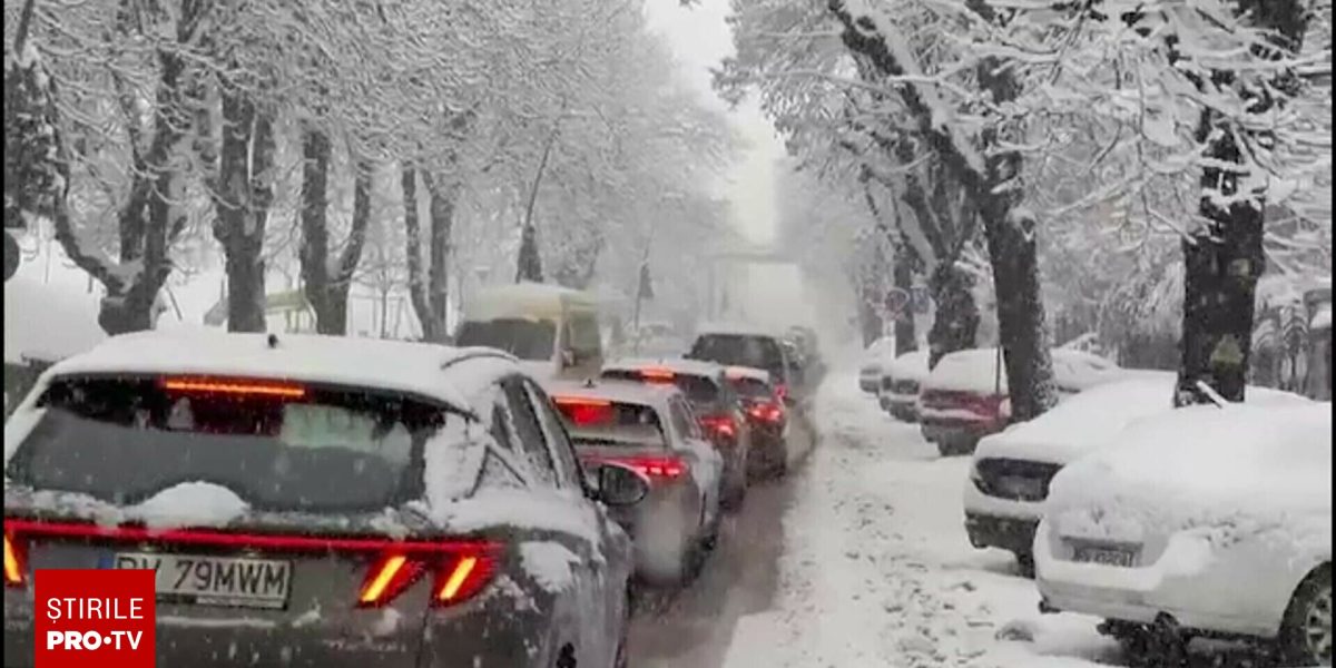 62603458-2.jpg - PresaObiectiva