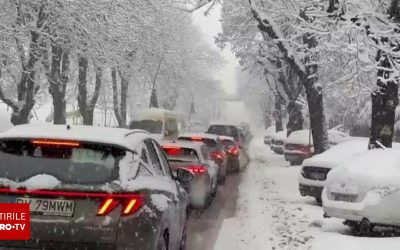 62603458-2.jpg - PresaObiectiva