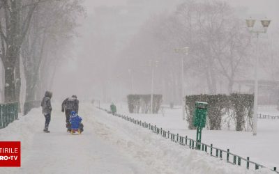 62603540-2.jpg - PresaObiectiva