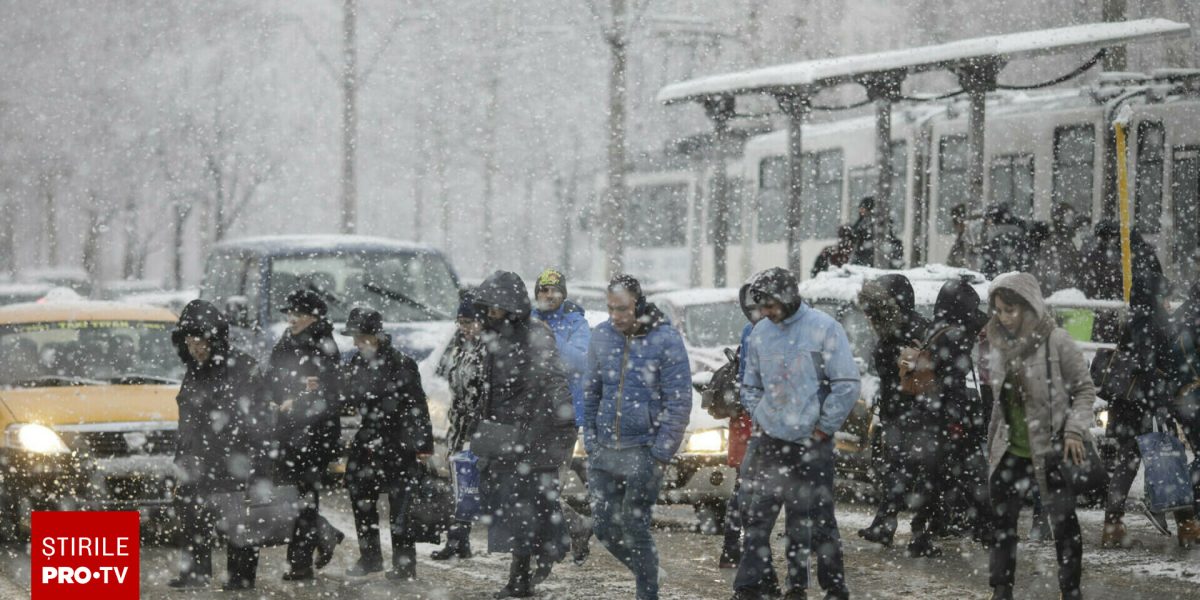 62605100-2.jpg - PresaObiectiva