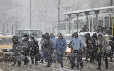 62605100.jpg - PresaObiectiva