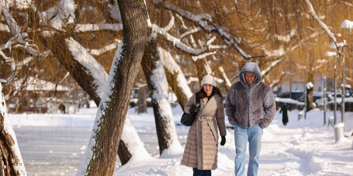 62606313.jpg - PresaObiectiva