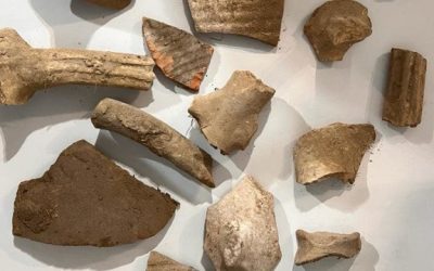 630_360_1671595044-928.jpg - PresaObiectiva