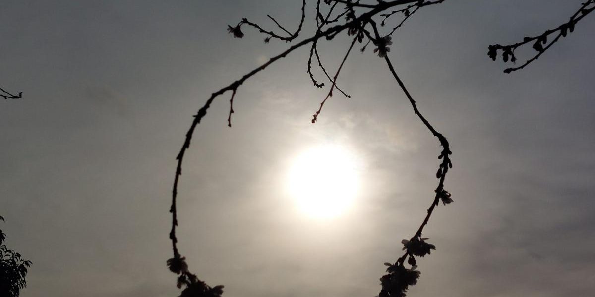 71fb0cbfa5cf6e96eac62ca6ac42ab55.jpeg - PresaObiectiva