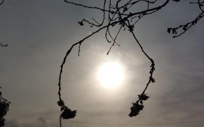 71fb0cbfa5cf6e96eac62ca6ac42ab55.jpeg - PresaObiectiva