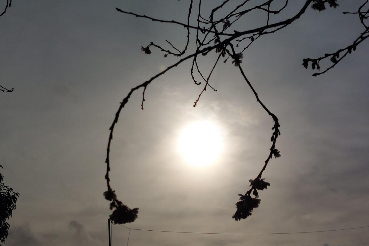 Vremea de weekend în Wharfedale: Ce ne așteaptă?