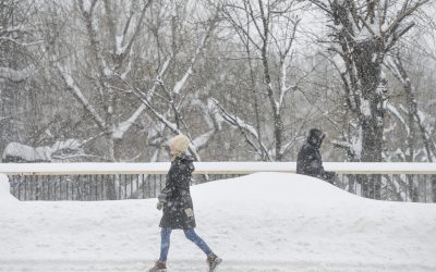 7411936-mediafax_foto-andreea_alexandru-scaled.jpg - PresaObiectiva