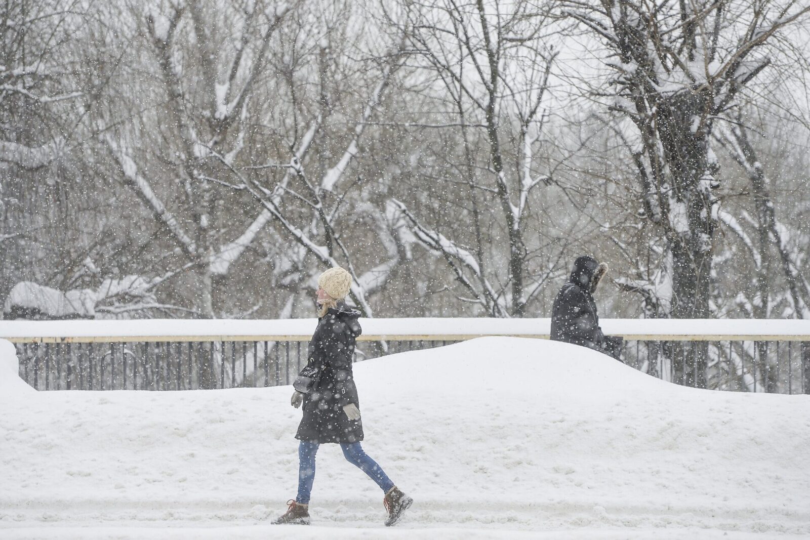Schimbări meteorologice majore: Vortexul Polar afectează vremea din Europa Un Vortex Polar deformat și extins, cu nucleul tras spre America de Nord, a generat un episod sever de iarnă în Statele Unite, însoțit de temperaturi extrem de scăzute, ninsoare abundentă și condiții de gheață pe arii largi