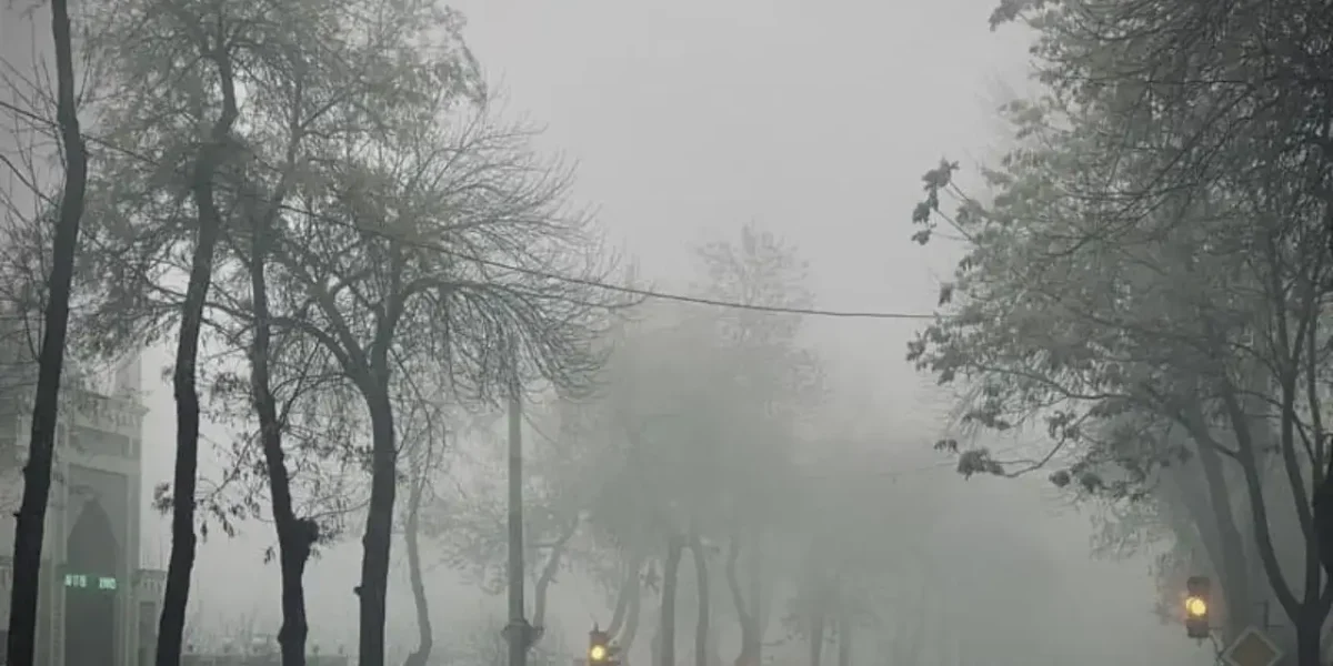 7c5c0623d2_untitled-design-2026-01-04t153148_968.webp.webp - PresaObiectiva