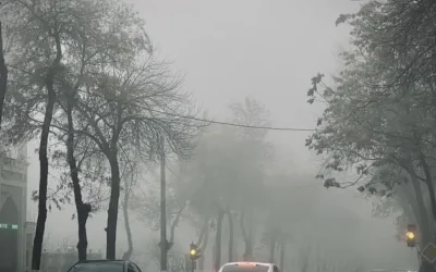 7c5c0623d2_untitled-design-2026-01-04t153148_968.webp.webp - PresaObiectiva