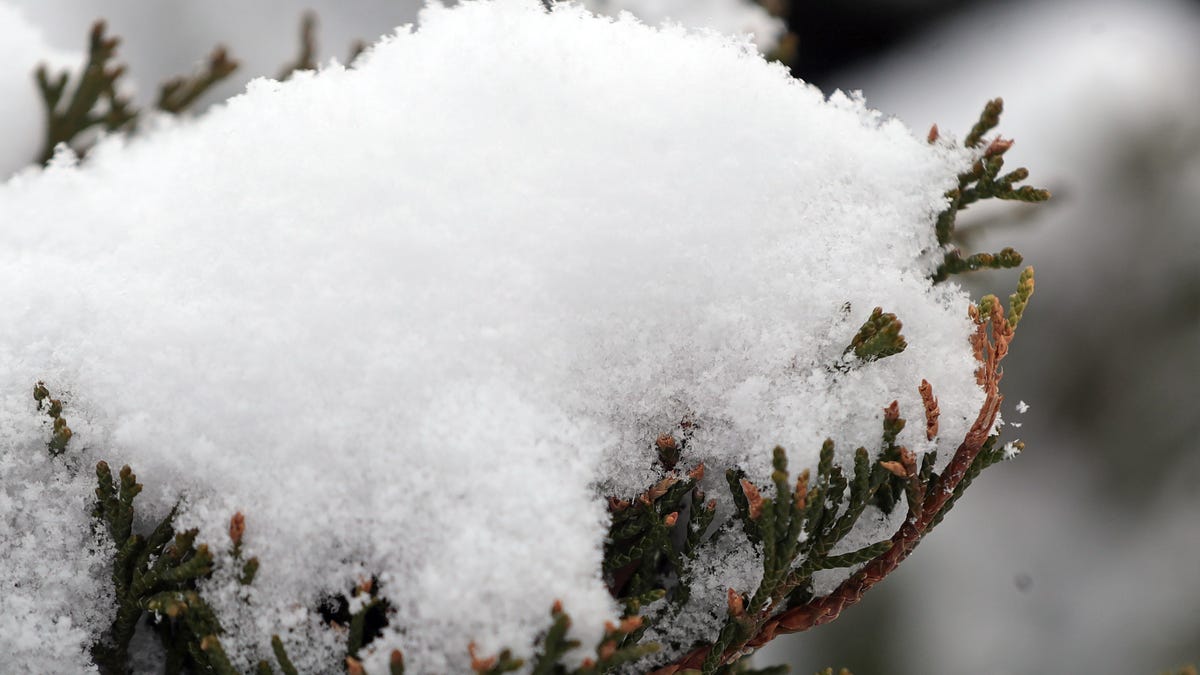 Furtună de zăpadă însoțită de ninsori de până la 2,5 cm!