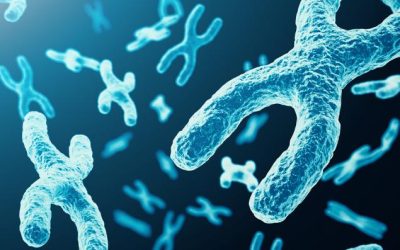 9f2a2e04a053cda7a8c096e532e43d28.jpeg - PresaObiectiva