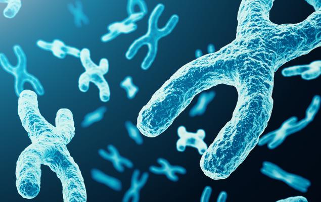 9f2a2e04a053cda7a8c096e532e43d28.jpeg - PresaObiectiva