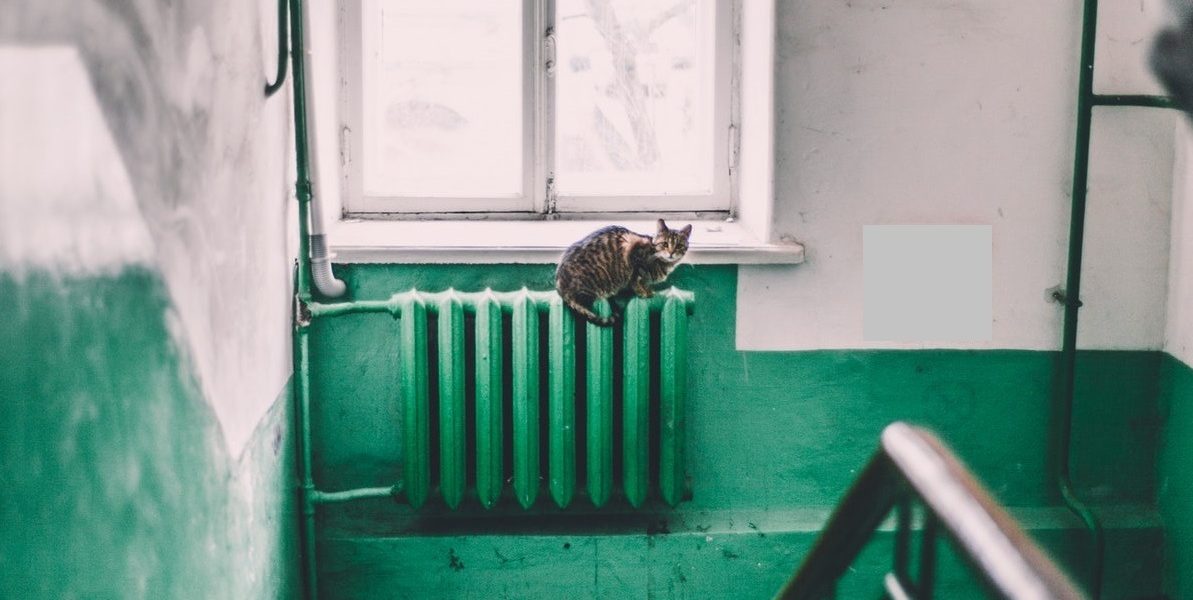 Calorifer-pexels-maria-orlova-4946714.jpg - PresaObiectiva