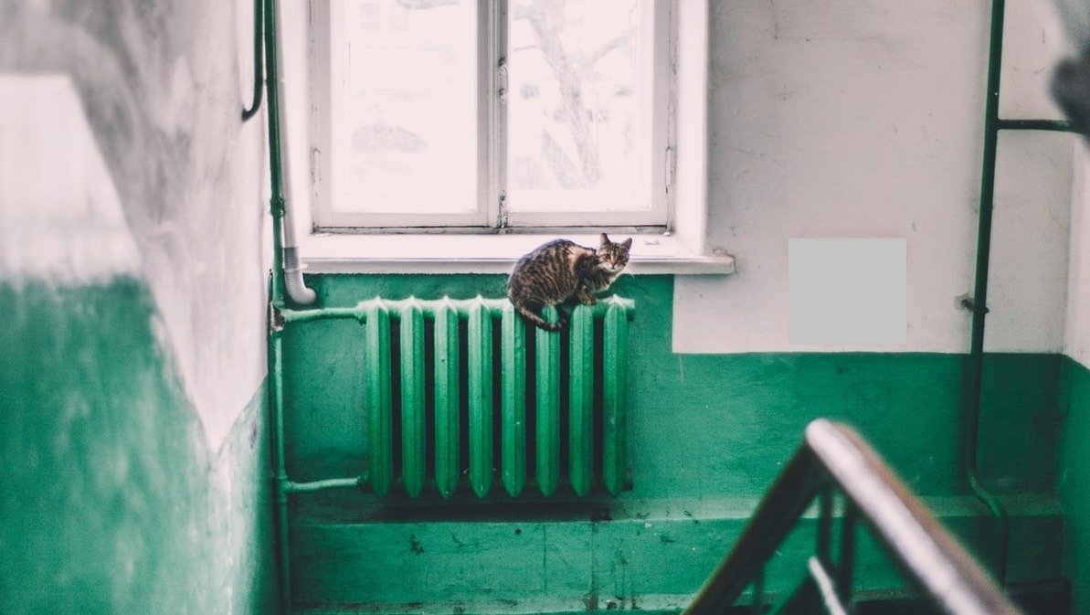 Birta răspunde la atacul Olguței Vasilescu în scandalul termoficării: „La Oradea, investiții și fonduri europene”