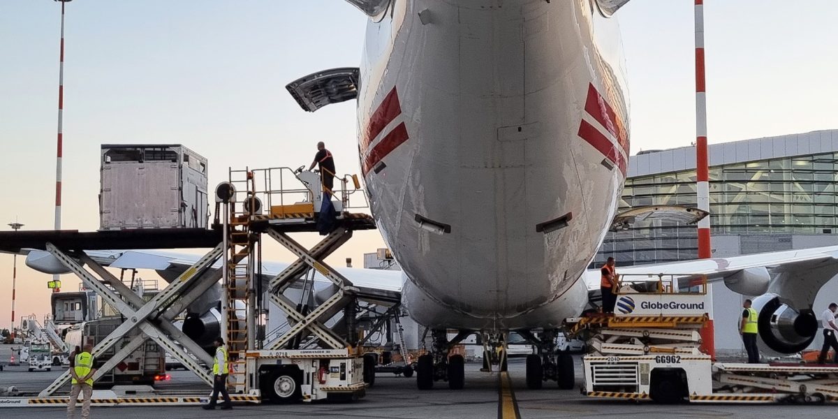 Captura-de-ecran-2026-01-31-061618.jpg - PresaObiectiva