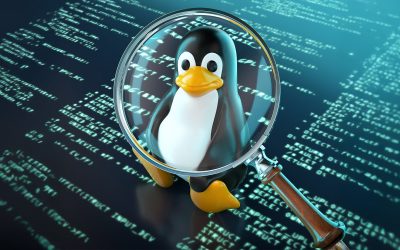 De-ce-este-Kubuntu-26.04-LTS-una-dintre-cele-mai-asteptate-lansari-Linux-din-2026.jpg - PresaObiectiva