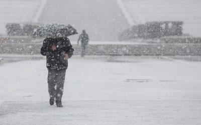 FB1A0210.jpg - PresaObiectiva