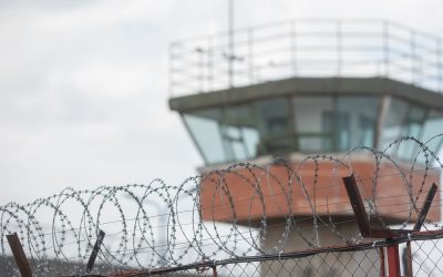 FB1A1091.jpg - PresaObiectiva