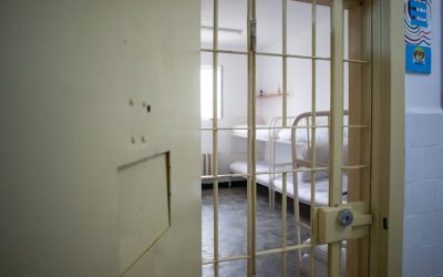 FB1A1137.jpg - PresaObiectiva