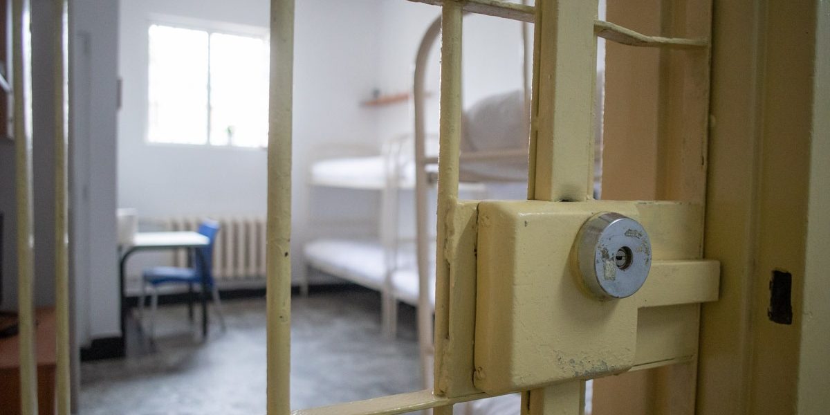 FB1A1141.jpg - PresaObiectiva