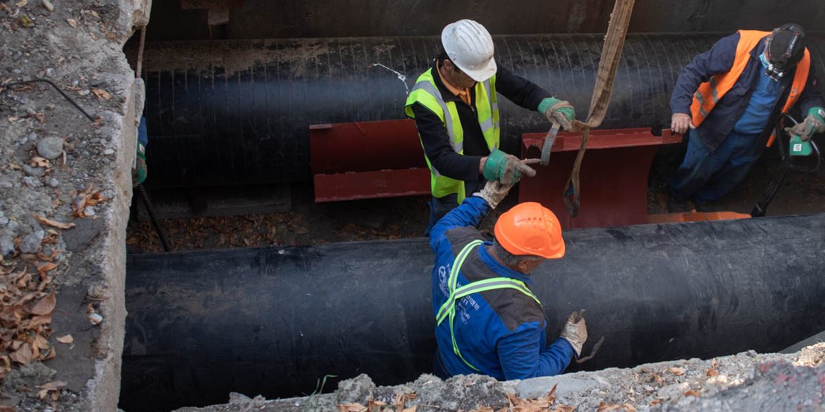 FB1A2146.jpg - PresaObiectiva