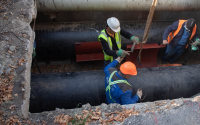 FB1A2146.jpg - PresaObiectiva