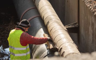 FB1A2184.jpg - PresaObiectiva