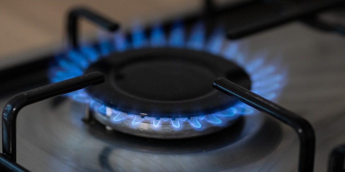 FB1A8915.jpg - PresaObiectiva